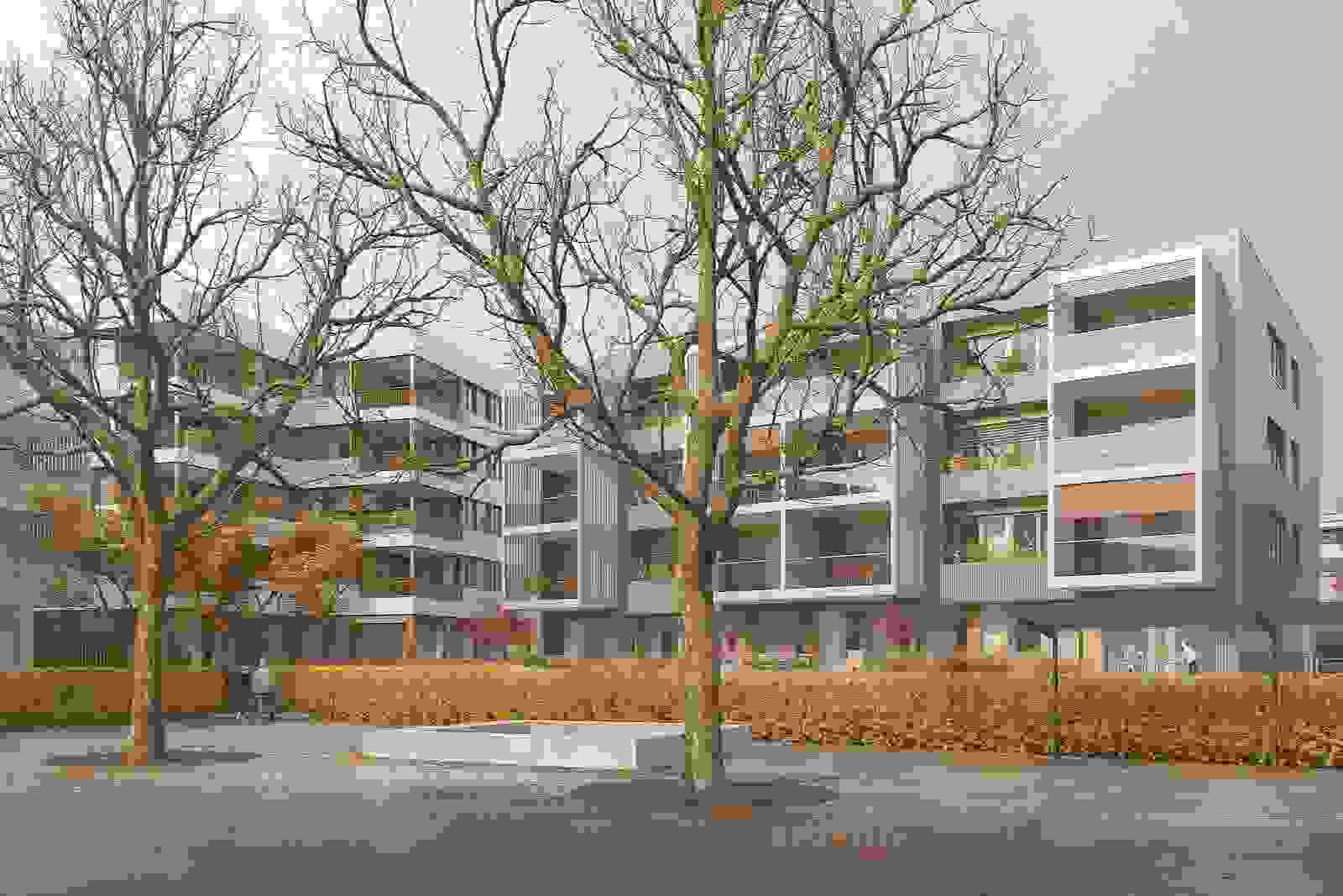 2eck_wettbewerb_buelplatz_baar_03.jpg