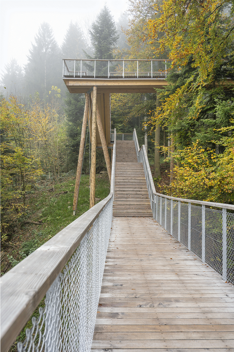 2eck-schlaufensteg-baar-bild4-800.gif 2eck-schlaufensteg-baar-bild4-800.gif