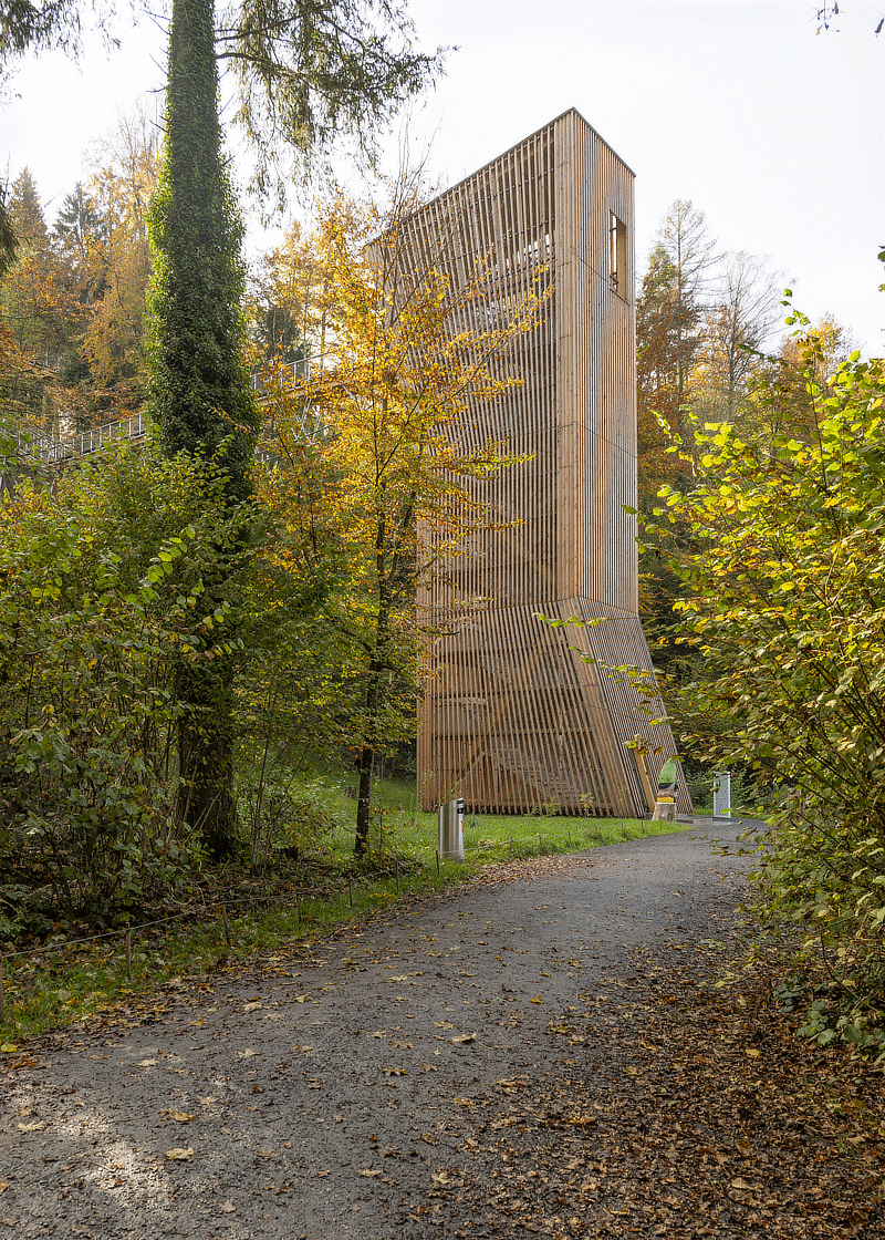 2eck-schlaufensteg-baar-bild3-800.gif 2eck-schlaufensteg-baar-bild3-800.gif